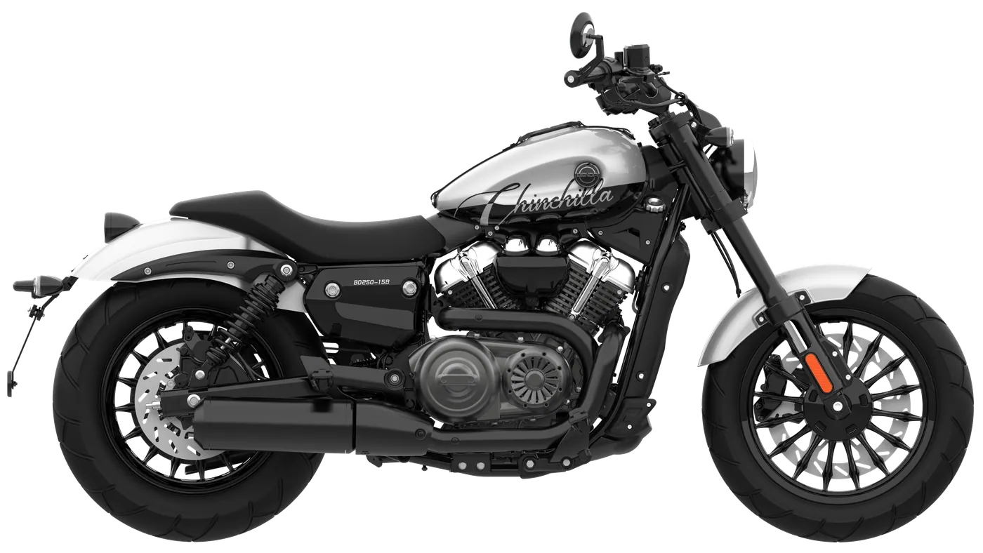 BENDA Chinchilla 250 CVT — Международная